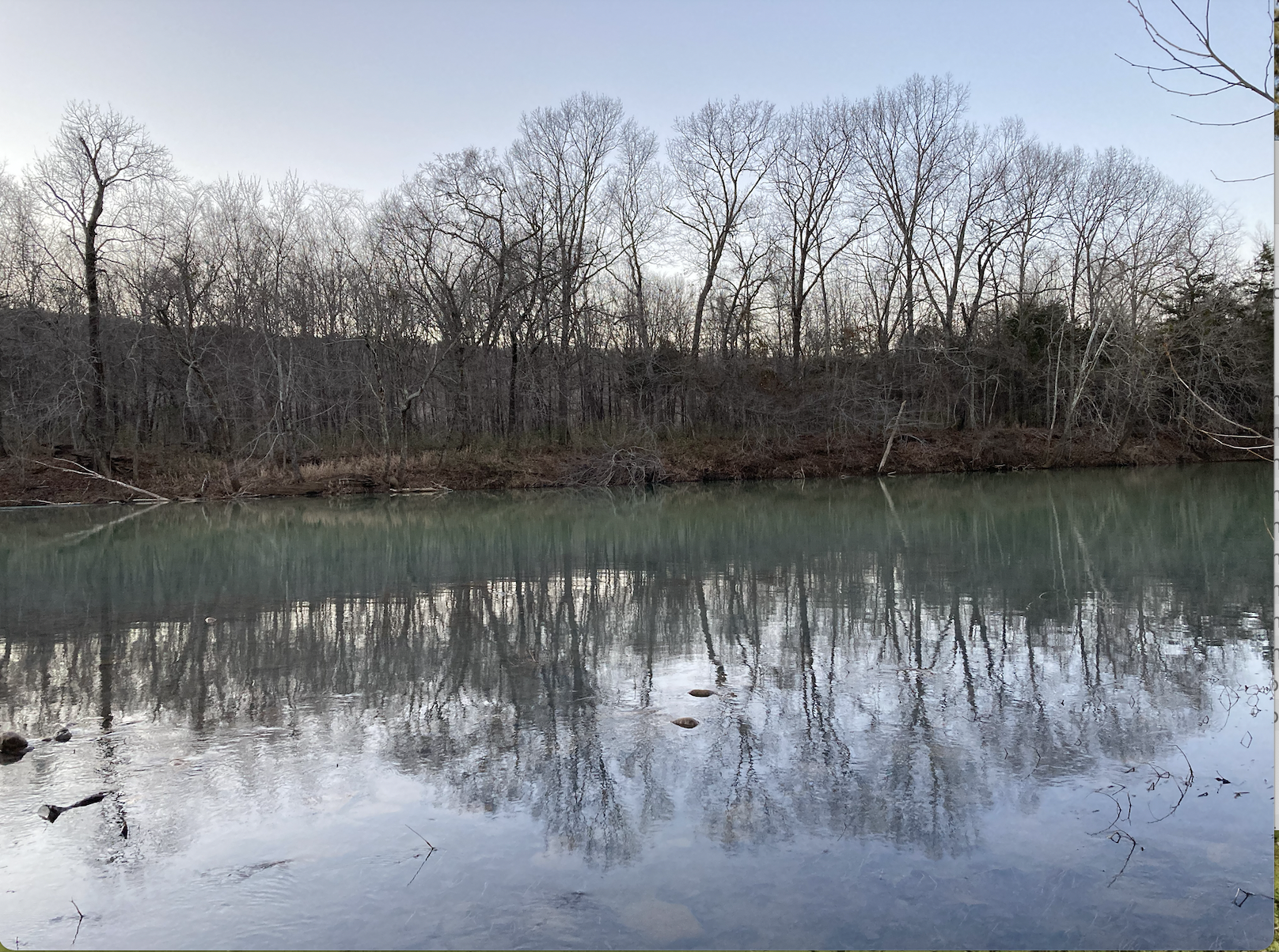 Mulberry river at RTB